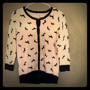 COPY - Dachshund cardigan